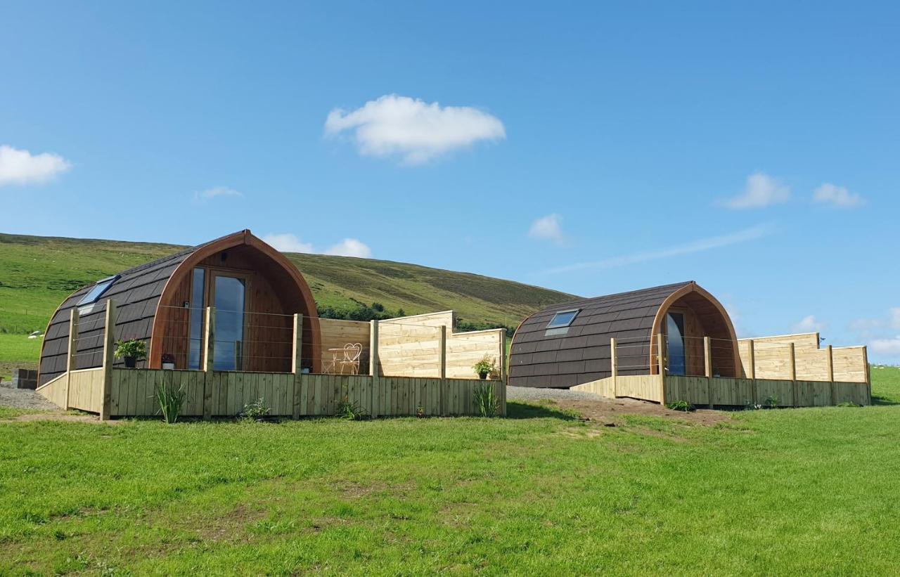 Lilly's Orkney Hedgehog Деревянный коттедж Finstown